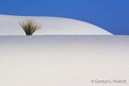 White Sands_32230.jpg - Photographed at the White Sands National Monument near Alamogordo, New Mexico, USA.